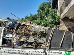 Best Same-Day Junk Removal Services  in Fernley, NV